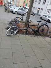 Bild zu gemeldetem Anliegen vom *2024-03-03 16:44:02