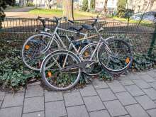 Bild zu gemeldetem Anliegen vom *2024-03-26 15:48:40