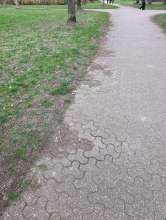 Bild zu gemeldetem Anliegen vom *2024-03-09 12:24:56