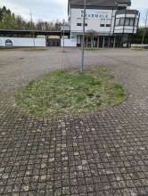 Bild zu gemeldetem Anliegen vom *2024-03-10 14:00:19