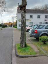 Bild zu gemeldetem Anliegen vom *2024-03-19 03:27:17