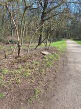 Bild zu gemeldetem Anliegen vom *2024-03-02 10:33:50