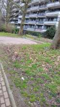 Bild zu gemeldetem Anliegen vom *2024-03-04 08:47:32