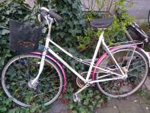 Bild zu gemeldetem Anliegen vom *2024-03-08 08:15:39