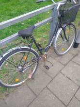 Bild zu gemeldetem Anliegen vom *2024-03-27 08:14:59