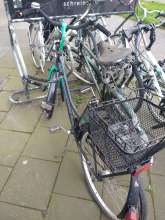 Bild zu gemeldetem Anliegen vom *2024-03-31 14:16:08