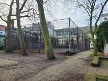 Bild zu gemeldetem Anliegen vom *2024-03-02 09:13:59