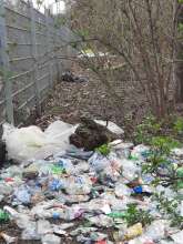 Bild zu gemeldetem Anliegen vom *2024-03-01 14:22:08