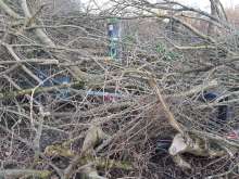 Bild zu gemeldetem Anliegen vom *2024-03-02 13:38:28