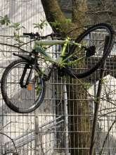 Bild zu gemeldetem Anliegen vom *2024-03-03 10:07:46