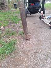 Bild zu gemeldetem Anliegen vom *2024-03-10 14:00:19