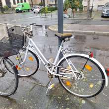 Bild zu gemeldetem Anliegen vom *2024-03-11 13:21:02