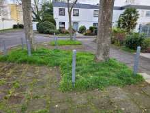 Bild zu gemeldetem Anliegen vom *2024-03-20 17:03:38