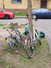 Bild zu gemeldetem Anliegen vom *2024-03-21 09:27:29