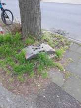 Bild zu gemeldetem Anliegen vom *2024-03-21 09:27:29
