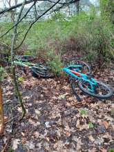 Bild zu gemeldetem Anliegen vom *2024-03-24 19:00:08