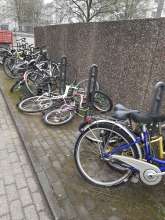 Bild zu gemeldetem Anliegen vom *2024-03-30 15:27:22