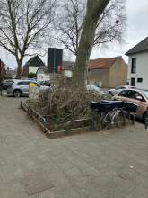 Bild zu gemeldetem Anliegen vom *2024-03-05 06:48:29