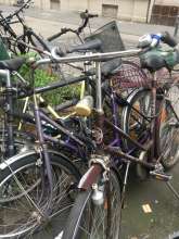 Bild zu gemeldetem Anliegen vom *2024-03-04 09:41:38