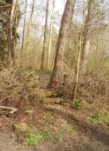 Bild zu gemeldetem Anliegen vom *2024-03-20 17:03:38, Bresche im Absperrwall mit Trampelpfad im Hintergrund