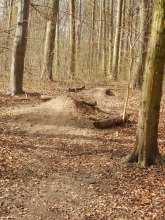 Bild zu gemeldetem Anliegen vom *2024-03-20 17:46:27 wilde Fahrradsprungschanzen im Wald nahe Militärring