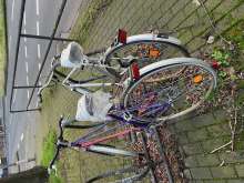 Bild zu gemeldetem Anliegen vom *2024-03-07 12:03:38