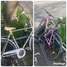 Bild zu gemeldetem Anliegen vom *2024-03-26 15:27:30