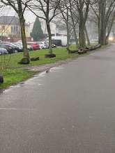 Bild zu gemeldetem Anliegen vom *2024-03-13 20:32:06