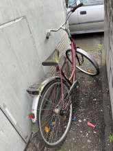 Bild zu gemeldetem Anliegen vom *2024-03-01 13:22:15