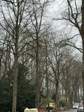 Bild zu gemeldetem Anliegen vom *2024-03-05 15:12:32
