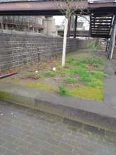 Bild zu gemeldetem Anliegen vom *2024-03-01 03:27:23