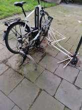 Bild zu gemeldetem Anliegen vom *2024-03-20 06:27:10