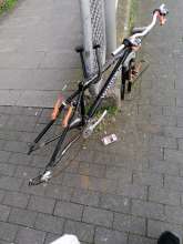 Bild zu gemeldetem Anliegen vom *2024-03-20 07:44:48