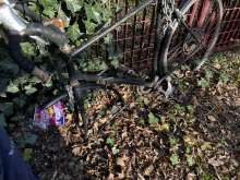 Bild zu gemeldetem Anliegen vom *2024-03-02 09:13:59