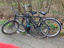 Bild zu gemeldetem Anliegen vom *2024-03-07 12:03:38