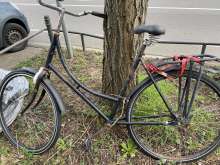 Bild zu gemeldetem Anliegen vom *2024-03-01 16:14:38