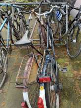 Bild zu gemeldetem Anliegen vom *2024-03-14 15:53:01