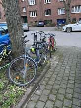 Bild zu gemeldetem Anliegen vom *2024-03-15 09:08:27