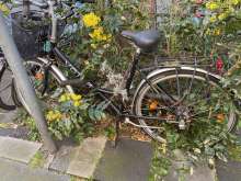 Bild zu gemeldetem Anliegen vom *2024-03-26 12:41:41