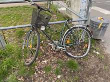 Bild zu gemeldetem Anliegen vom *2024-03-26 18:13:18