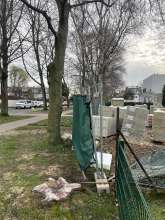 Bild zu gemeldetem Anliegen vom *2024-03-03 10:07:46