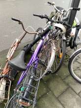 Bild zu gemeldetem Anliegen vom *2024-03-12 11:06:59