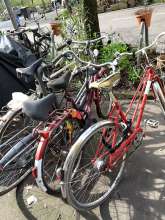 Bild zu gemeldetem Anliegen vom *2024-03-20 10:49:01