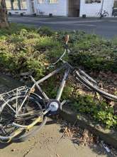 Bild zu gemeldetem Anliegen vom *2024-03-05 10:37:59