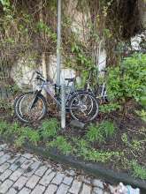 Bild zu gemeldetem Anliegen vom *2024-03-23 09:03:40