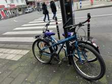 Bild zu gemeldetem Anliegen vom *2024-03-13 15:01:39