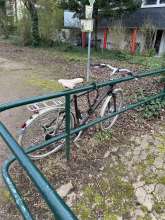 Bild zu gemeldetem Anliegen vom *2024-03-08 03:27:48