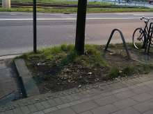 Bild zu gemeldetem Anliegen vom *2024-03-10 18:38:42