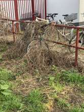 Bild zu gemeldetem Anliegen vom *2024-03-09 23:40:34