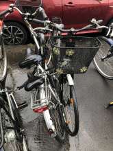 Bild zu gemeldetem Anliegen vom *2024-03-06 03:27:49